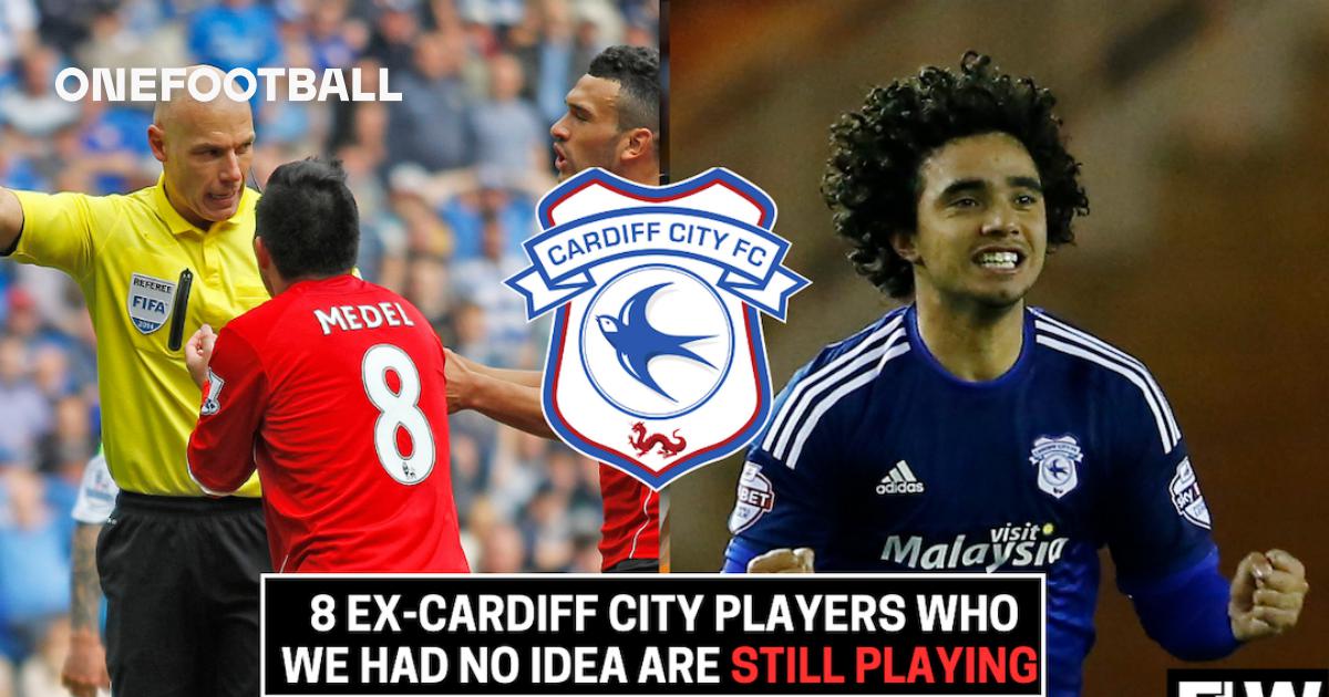 8 ex-Cardiff City players who we had no idea are still playing | OneFootball