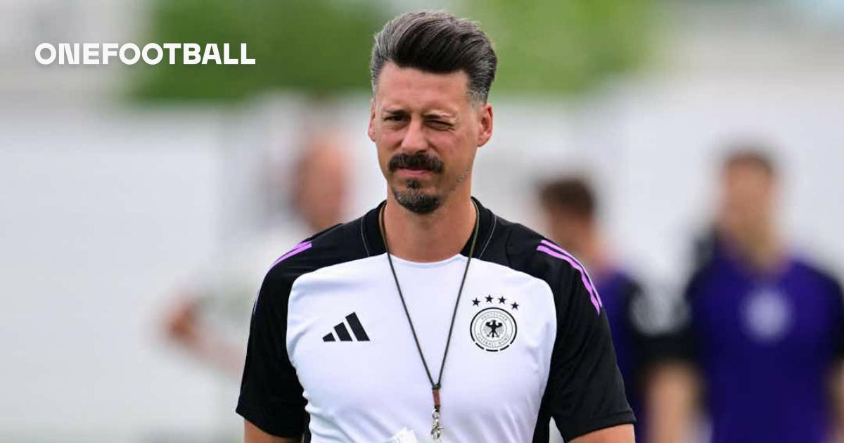 Germany assistant Sandro Wagner turns down Hoffenheim job