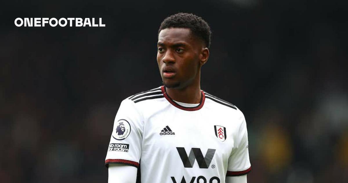 Tottenham Hotspur Are Big Admirers Of This Fulham Midfielder: Decent Option  For Ange?