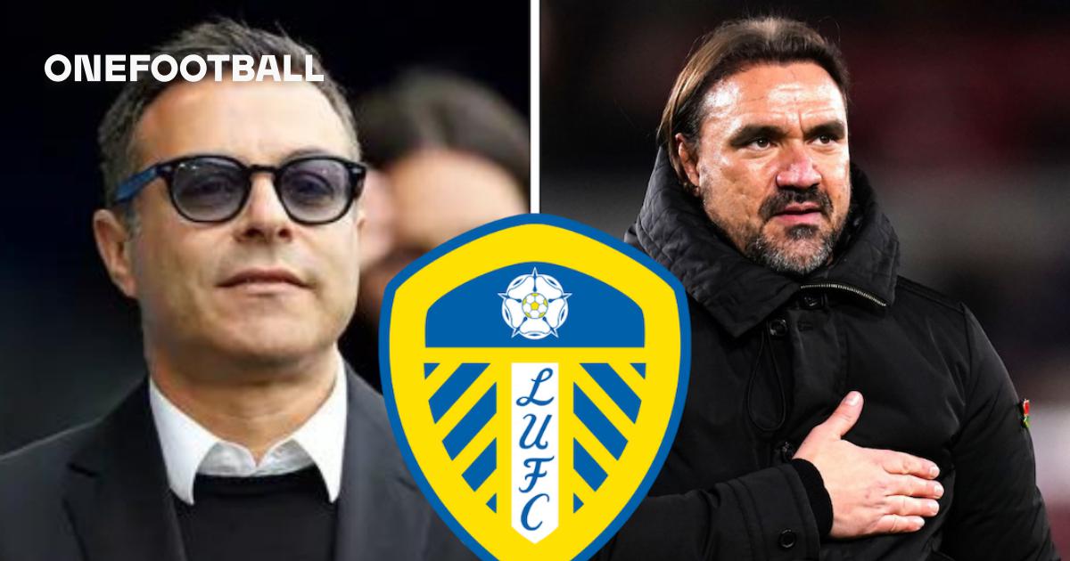 Leeds United owner Andrea Radrizzani backs post criticising