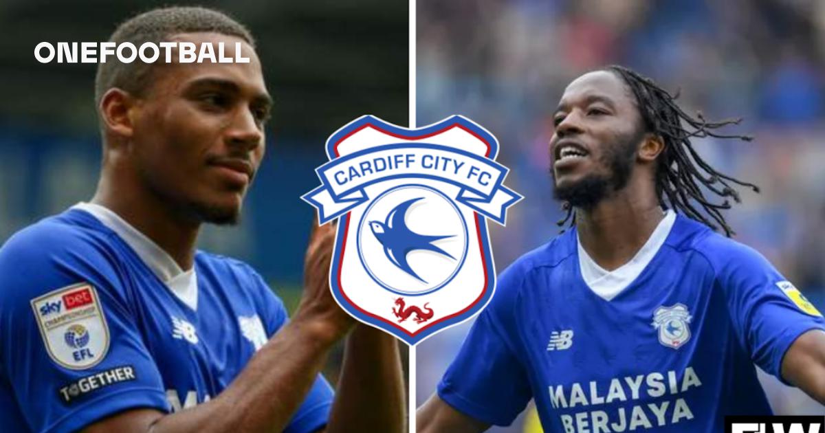 3 Cardiff City players who always seem to divide opinion