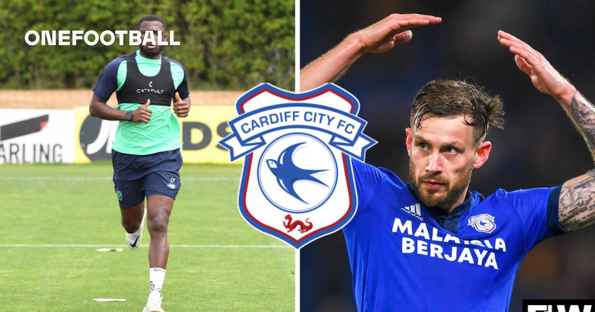 Cardiff City FC partner with Catapult Sports