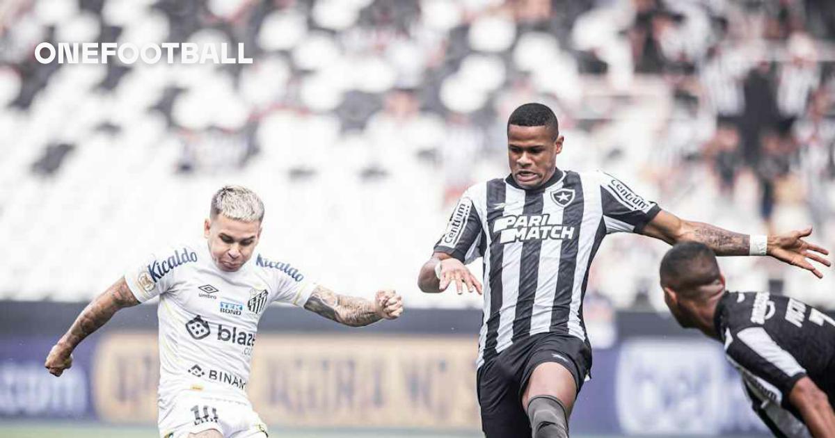 Santos arranca empate no fim e mantém Botafogo atrás do Palmeiras no  Brasileirão – REVISTA PARANÁ