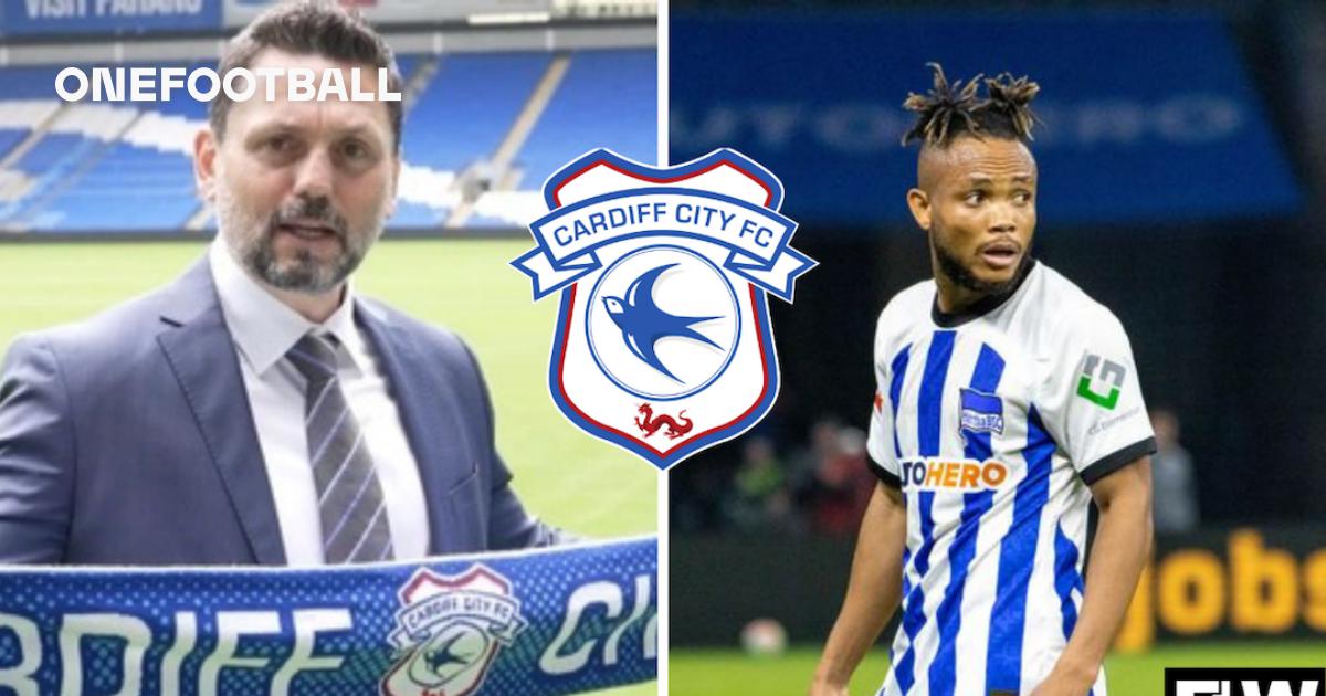 Cardiff City must strike ambitious deal for exciting summer target