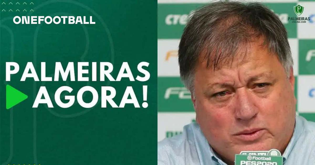 Nova camisa e Scarpa para 2024, Palmeiras Agora