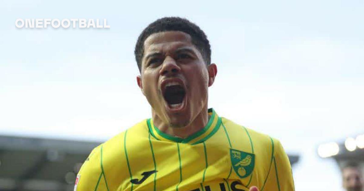 Com golaço e assistência de Gabriel Sara, Norwich volta à zona de  classificação à Premier League - Lance!