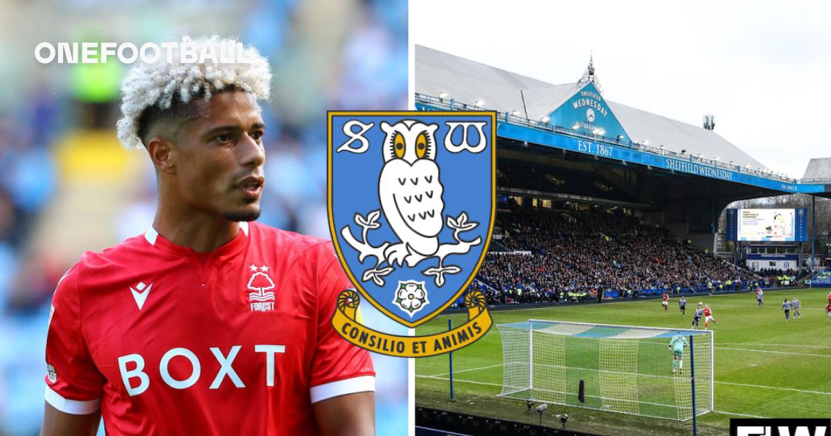 Sheffield Wednesday 100% made the right transfer call on this ex-Nottingham  Forest player: Opinion | OneFootball