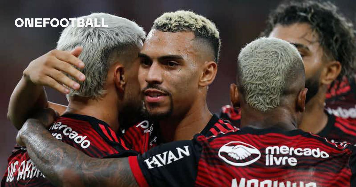 Tropeça no pé, diz VAR sobre lance polêmico em Flamengo x Santos