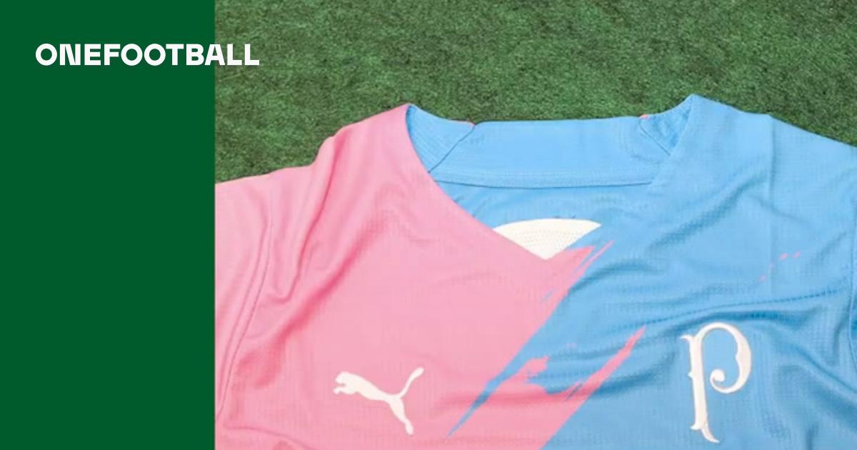 Nova Camisa Palmeiras Outubro Rosa E Novembro Azul Todos Patrocínios T -  021 Sport, Maior Variedade de Camisas de Futebol