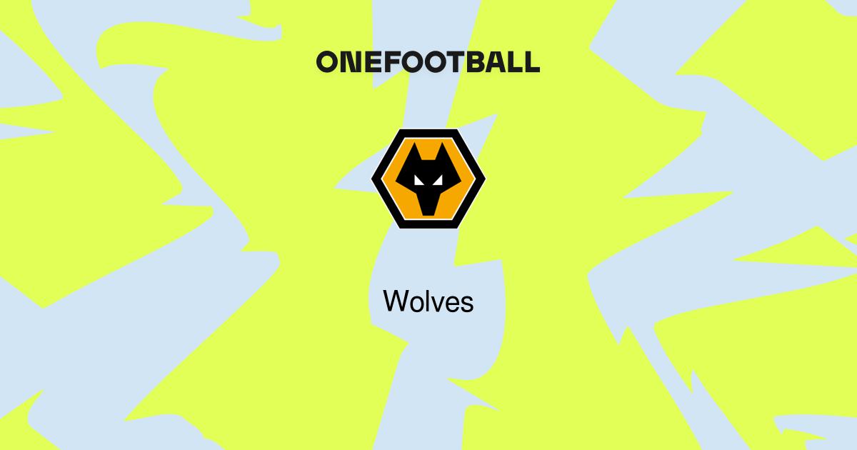 W88 - Wolves training video - Connecting Brands