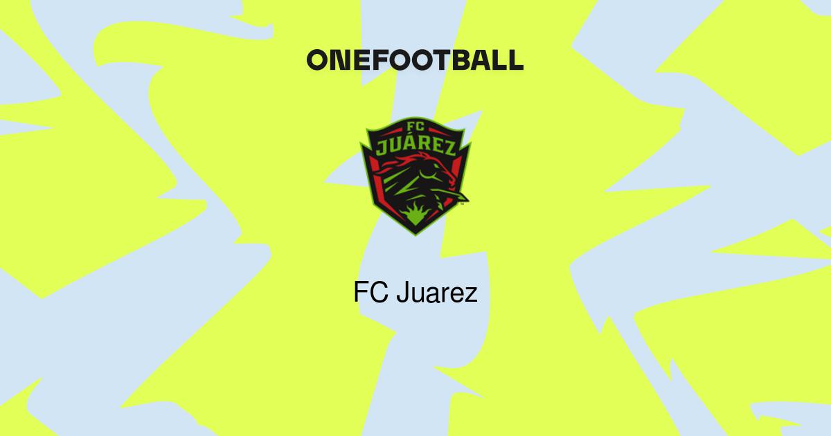 FC Juarez, FC Juarez overview