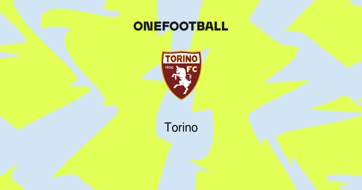 Torino Visão geral