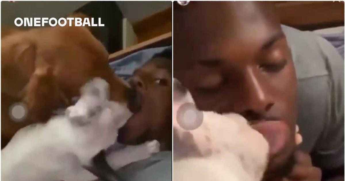 Video Man United Target Nuno Tavares Shocks Some With Bizarre Dog Kissing Clips As Two Pups Dig Into Benfica Ace S Mouth At Once Onefootball